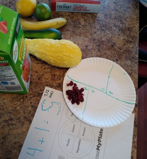 Healthy Plate4